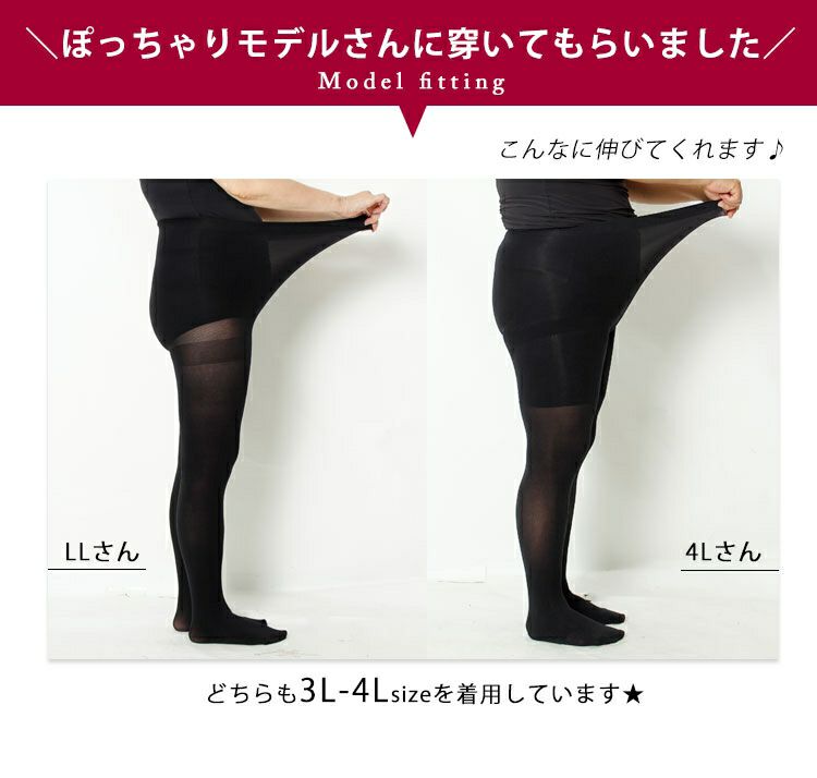 大きいサイズ レディース ワンポイント80デニールタイツ　pure-008