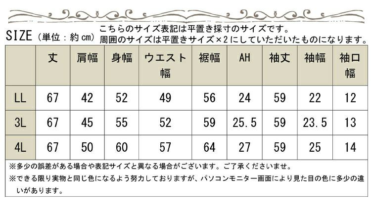 大きいサイズ レディース スラブデニムベーシックシャツ　wd-0160