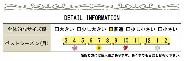 大きいサイズ レディース 2連チェーンネックレス　humio-049【メール便可】
