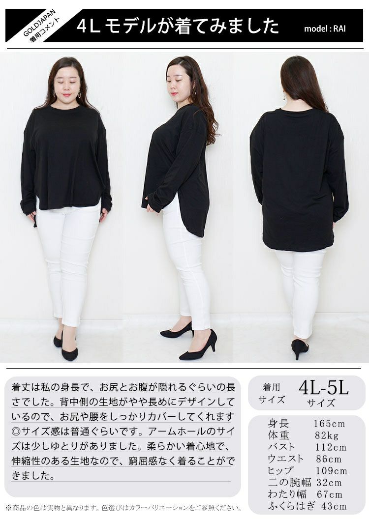 大きいサイズ レディース ラウンドロングヘムカットソー　wk-0277 【メール便可】