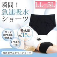 大きいサイズ レディース 瞬間！急速吸水サニタリーショーツ 生理用 35cc吸水 mo-s013 【メール便可】