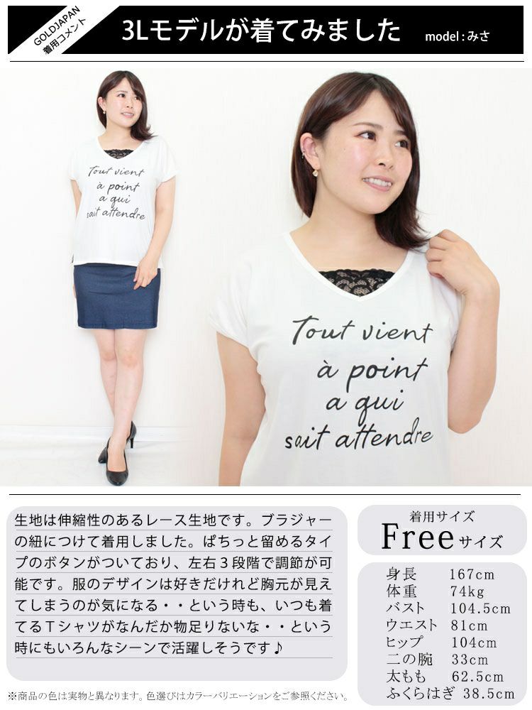 大きいサイズ レディース レース付け襟　goldy-1095 【メール便可】