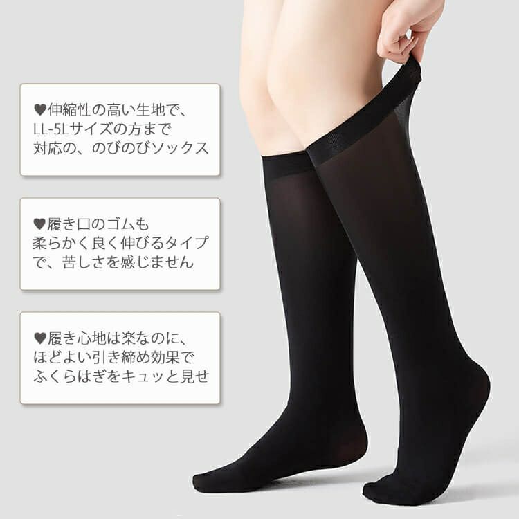 大きいサイズ レディース ストッキングソックス　goldy-1065 【メール便可】