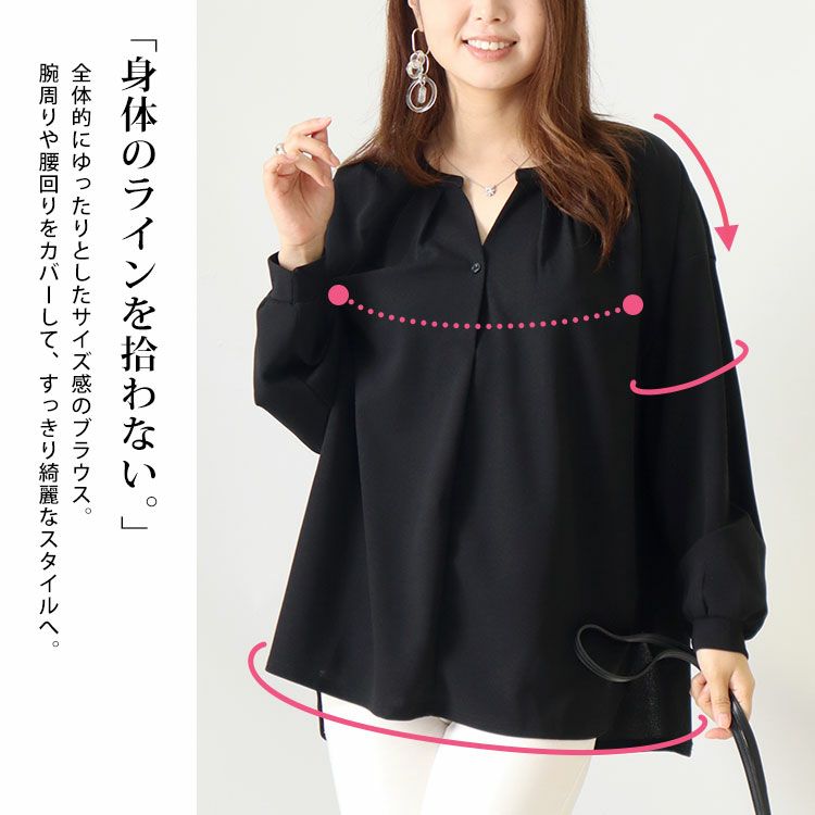 大きいサイズ レディース シワになりにくいブラウス　cast-5526013 【メール便可】