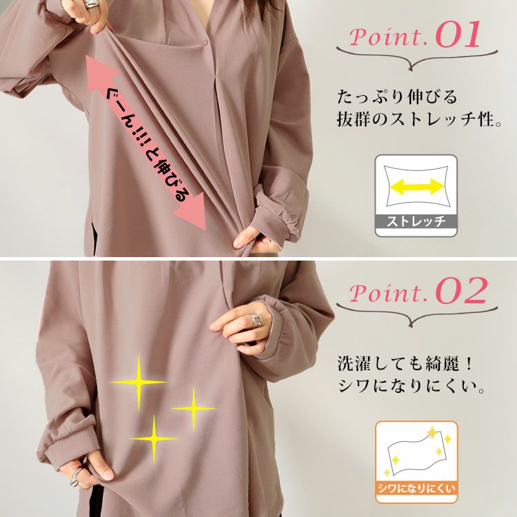 大きいサイズ レディース シワになりにくいブラウス　cast-5526013 【メール便可】