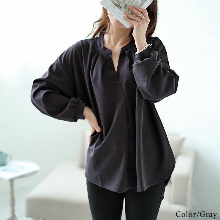 大きいサイズ レディース シワになりにくいブラウス　cast-5526013 【メール便可】