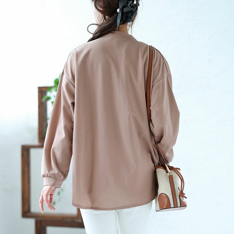 大きいサイズ レディース シワになりにくいブラウス　cast-5526013 【メール便可】