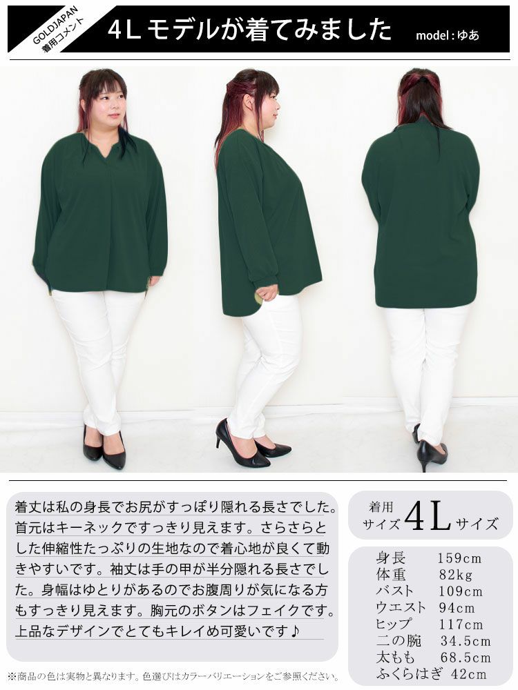 大きいサイズ レディース シワになりにくいブラウス　cast-5526013 【メール便可】