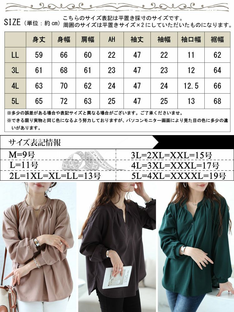 大きいサイズ レディース シワになりにくいブラウス　cast-5526013 【メール便可】