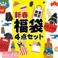 大きいサイズ レディース お楽しみ袋4点セット　fuku-2022