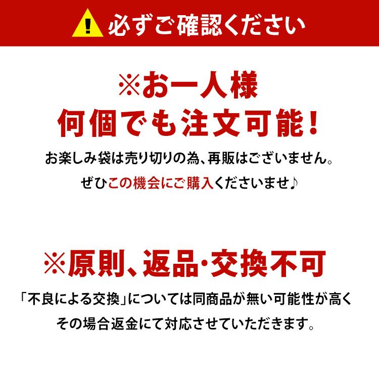 大きいサイズ レディース お楽しみ袋4点セット　fuku-2022