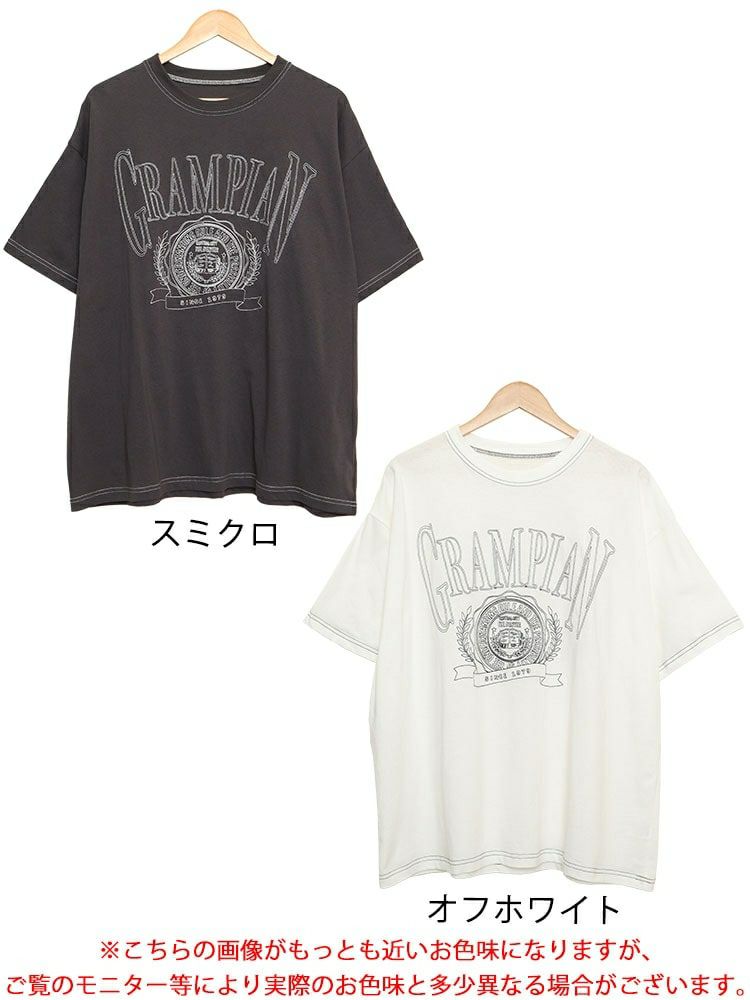 大きいサイズ レディース 線刺繍半袖Tシャツ　cros-130121 【メール便可】