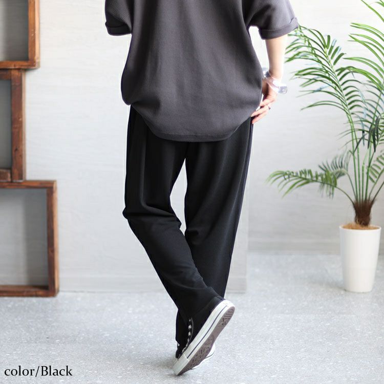 大きいサイズ レディース カットジョーゼットパンツ　plan-370297