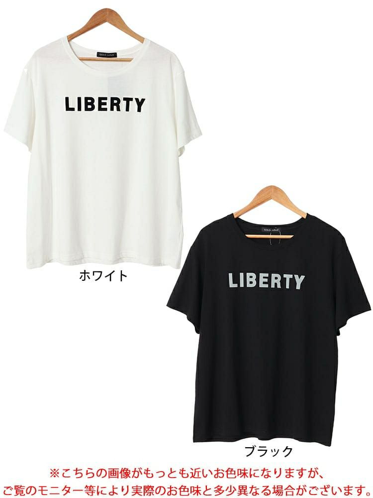 大きいサイズ レディース フロッキープリントロゴTシャツ　fem-505 【メール便可】