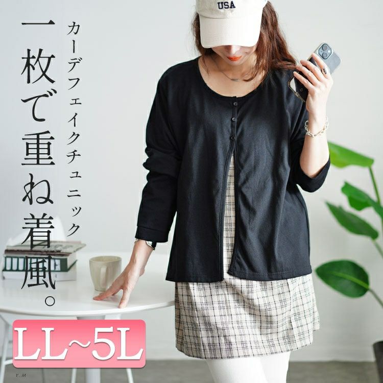 大きいサイズ レディース フェイクレイヤードチェックプルオーバー　cast-5546028