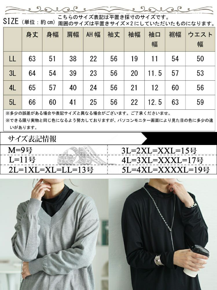 大きいサイズ レディース 吸湿発熱HEAT FITミニハイネックプルオーバー　cpdai-659075 【メール便可】