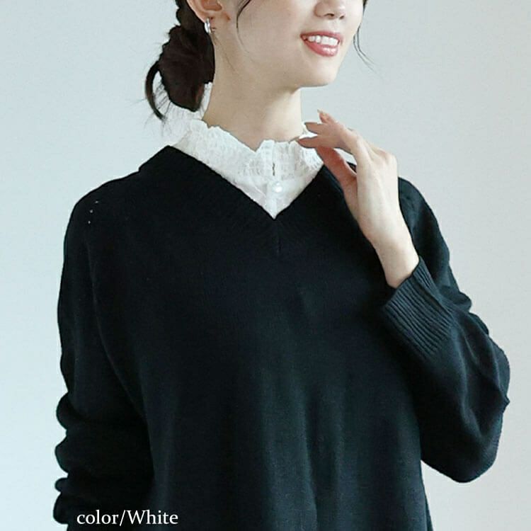 大きいサイズ レディース 花柄シアーシャーリング付け襟　cpdai-640644 【メール便可】