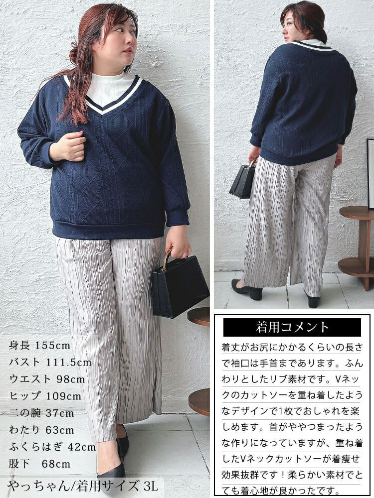 イベントセール】 大きいサイズ レディース ラインVネック重ね着風プル