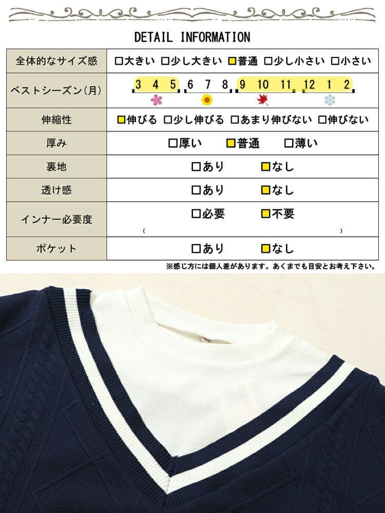 イベントセール】 大きいサイズ レディース ラインVネック重ね着風プル