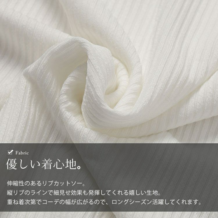 大きいサイズ レディース ラウンド裾Vネックリブカットソー　goldy-1654