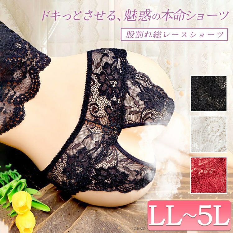 大きいサイズ レディース 股割れ総レースショーツ　goldy-1693【メール便可】